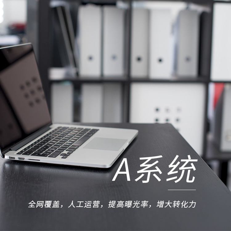 A系統